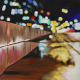 After Rain, 80 x 80 cm, oil on canvas, 2024